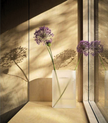 Minimalistische Muuto Vase mit zarten Allium-Blüten, inszeniert im warmen Sonnenlicht mit poetischem Schattenspiel an der Wand.
